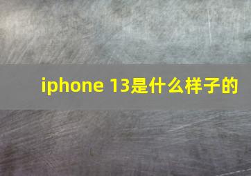 iphone 13是什么样子的